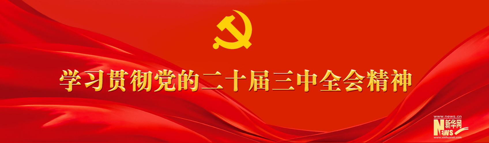 学习贯彻党的二十届三中全会精神