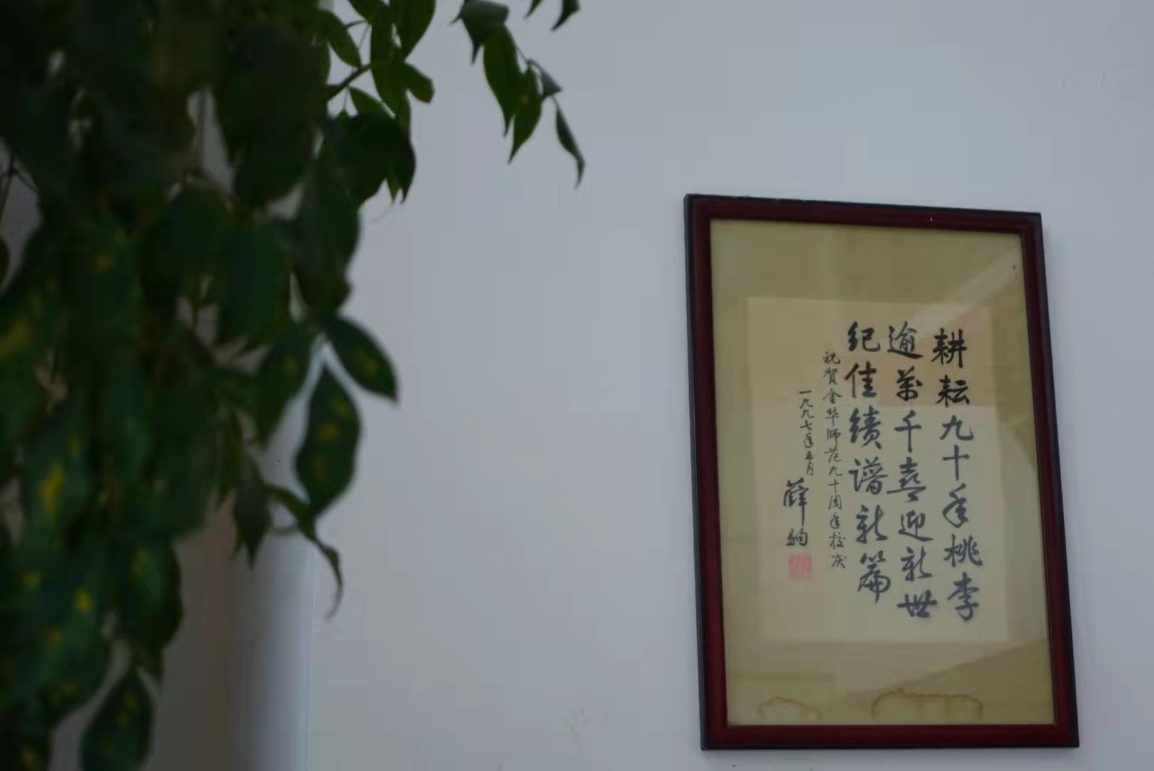 耕耘九十年